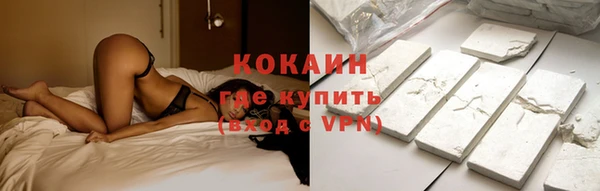 PSILOCYBIN Майский