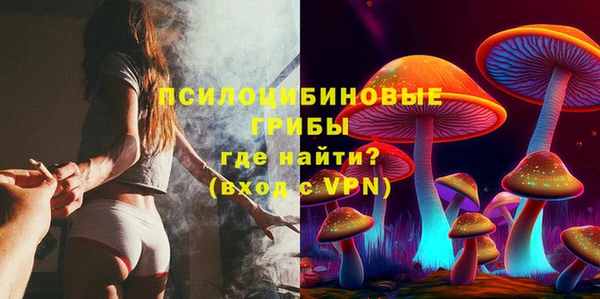 индика Архангельск