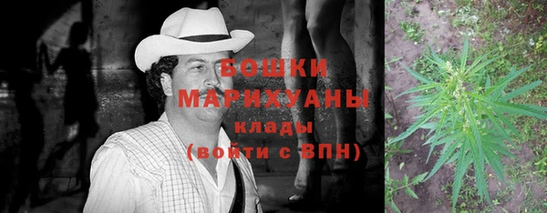 apvp Медногорск