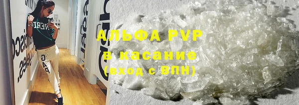 СК Медвежьегорск