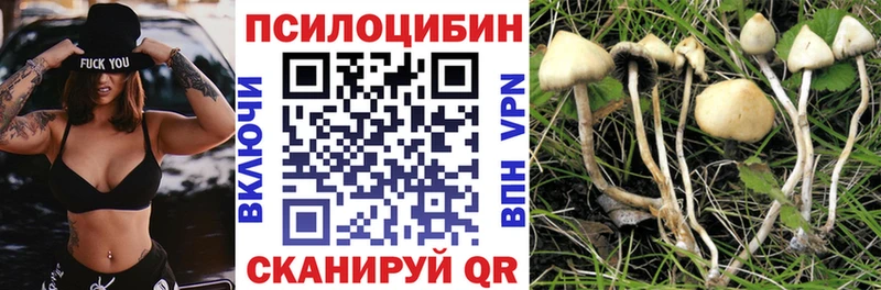 Псилоцибиновые грибы Magic Shrooms  даркнет какой сайт  hydra вход  Дзержинск  купить наркотики сайты 