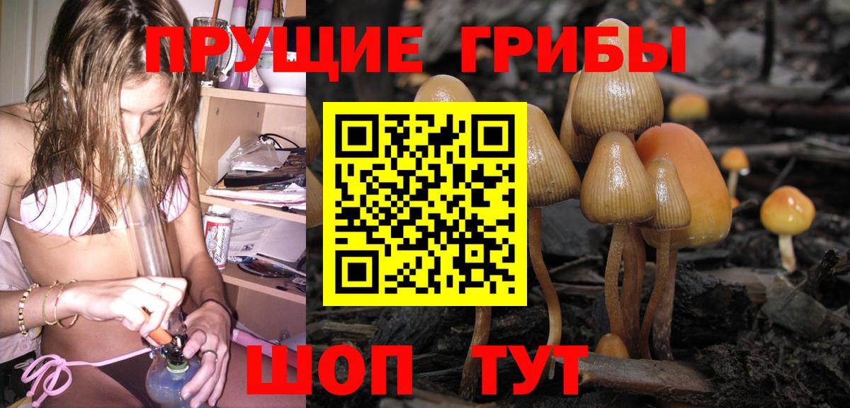 Галлюциногенные грибы Psilocybine cubensis  Вход с VPN  Дзержинск  Псилоцибиновые грибы мицелий 