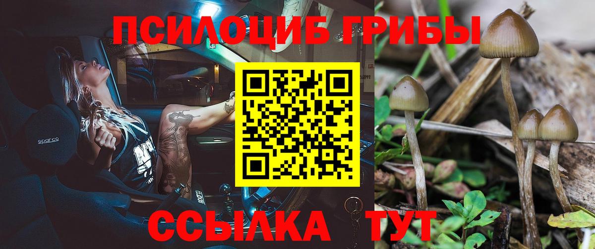 Псилоцибиновые грибы ЛСД Дзержинск